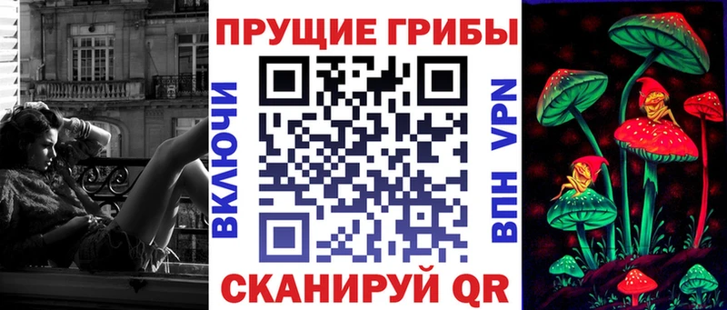 Галлюциногенные грибы GOLDEN TEACHER  как найти   Торжок 